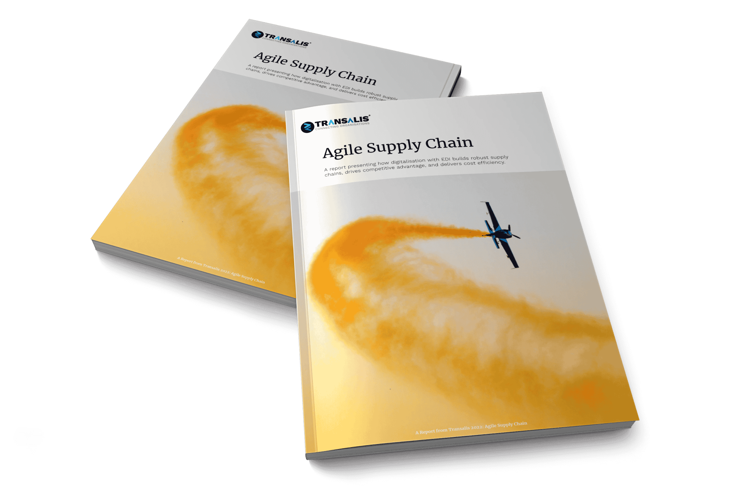 Transalis report mockup titled Agile Supply Chain