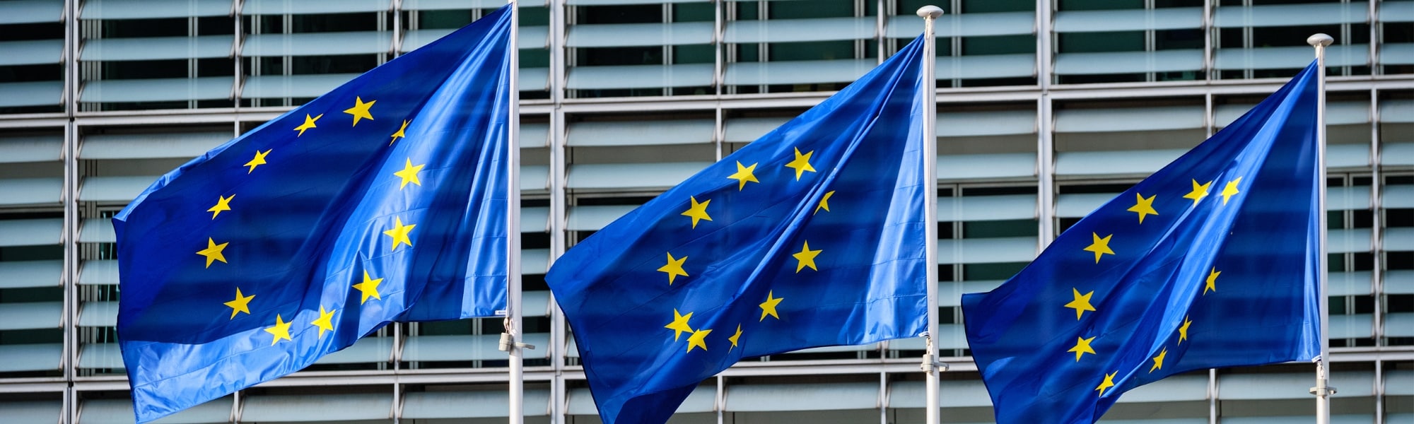 Photo of 3 EU flags flying outside a governmental building. Representing a blog titled 'ViDA: Everything you should know about VAT in the Digital Age'